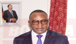 Yaoundé: Customs launches mobile device duty system to recover lost revenue