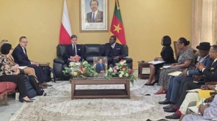 Biya regime looks to Poland to advance transport infrastructure plans