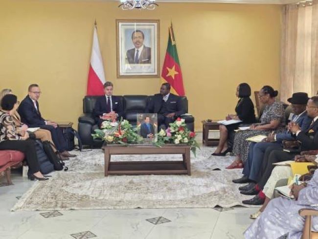 Biya regime looks to Poland to advance transport infrastructure plans