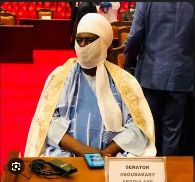 The Lamido of Rey Bouba is new Senate President