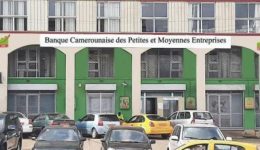 Biya regime plans CFA40 billion capital increases for state SME Bank