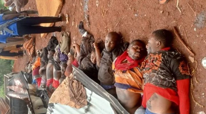 Southern Cameroons Crisis: Rights group disputes Ndzerem-Nyam army version