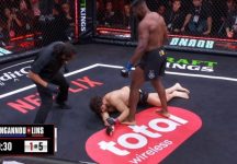 MMA: The Predator Francis Ngannow returns with a destructive knockout victory
