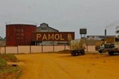 PAMOL unveils CFA36bn recovery drive after output slump hits payroll