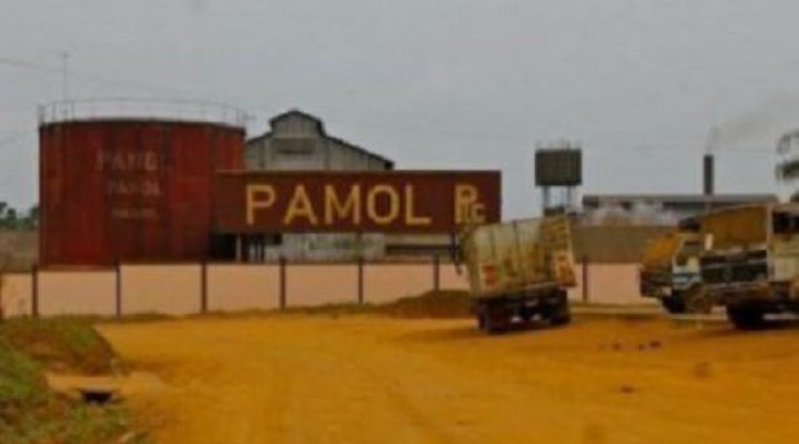 PAMOL unveils CFA36bn recovery drive after output slump hits payroll