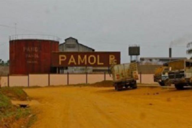 PAMOL unveils CFA36bn recovery drive after output slump hits payroll