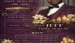 Jeff Osife Mokube Affair: Audit Committee alleges mismanagement. What role did Ben Ntamack play?