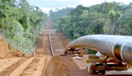 Yaoundé earns CFA15 billion from Chad Oil Pipeline transit fees in 5 months