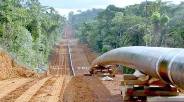 Yaoundé earns CFA15 billion from Chad Oil Pipeline transit fees in 5 months
