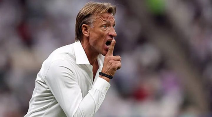 Indomitable Lions: Hervé Renard set to replace David Pagou