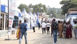 Promote 2026 opens in Yaoundé