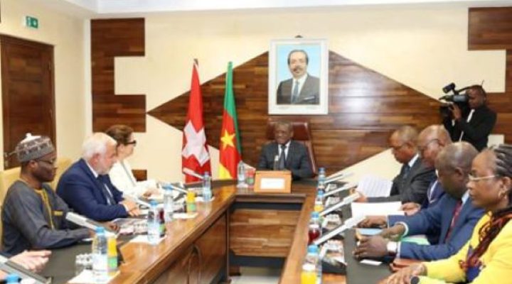 Cameroon, Swiss terminal operator explore options for Limbe Deep Seaport