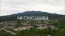 Diocese of Nkongsamba announces release of Priest, 2 Franciscan Brothers