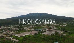 Diocese of Nkongsamba announces release of Priest, 2 Franciscan Brothers